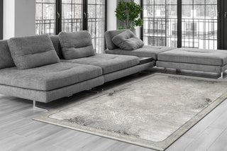 Dynamic Rugs Ella 3987 Grey/Ivory Area Rug Room Scene Feature