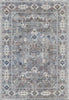 Dynamic Rugs Evora 5875 Grey/Ivory/Multi Area Rug