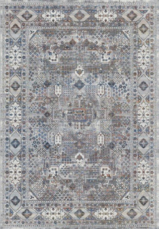 Dynamic Rugs Evora 5875 Grey/Ivory/Multi Area Rug