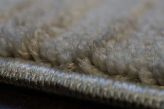 Dynamic Rugs Fiora 17230 Cream/Taupe Area Rug Detail