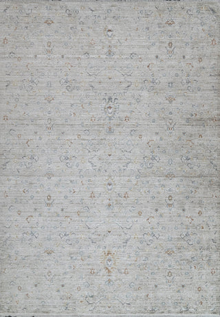 Dynamic Rugs Fiora 17230 Cream/Taupe Area Rug main image