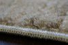 Dynamic Rugs Fiora 17231 Cream/Taupe Area Rug Detail