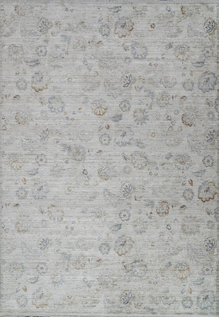 Dynamic Rugs Fiora 17234 Cream/Taupe Area Rug main image