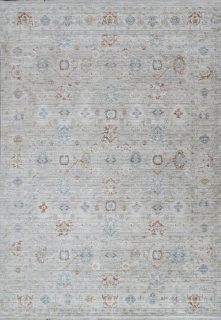 Dynamic Rugs Fiora 17235 Cream/Taupe/Multi Area Rug main image