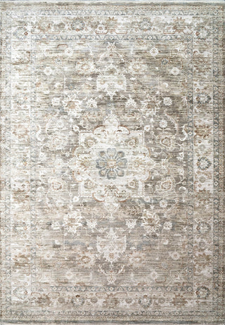 Dynamic Rugs Flare 14740 Beige/Grey/Ivory Area Rug main image