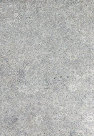 Dynamic Rugs Forever 7667 Silver Area Rug main image