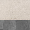 Dynamic Rugs Hamilton 10603 Cream Area Rug Detail