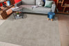 Dynamic Rugs Hamilton 10605 Ivory/Grey Area Rug Room Scene Feature