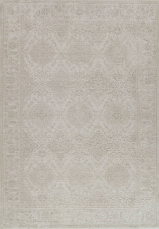 Dynamic Rugs Hamilton 10605 Ivory/Grey Area Rug main image