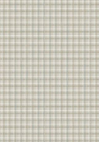 Dynamic Rugs Harmony 59005 Beige/Grey Area Rug main image