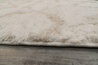 Dynamic Rugs Haven 19590 Ivory/Beige Area Rug Detail