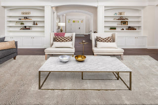 Dynamic Rugs Haven 19591 Grey Area Rug Room Scene Feature