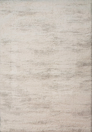 Dynamic Rugs Haven 19593 Grey Area Rug main image