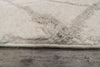 Dynamic Rugs Haven 19594 Ivory/Grey Area Rug Detail