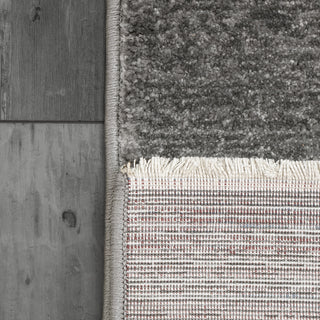 Dynamic Rugs Hera 3301 Grey/Ivory Area Rug