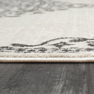 Dynamic Rugs Hera 3302 Ivory/Grey Area Rug