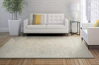 Dynamic Rugs Hudson 1450 Beige Area Rug Room Scene Feature