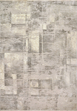 Dynamic Rugs Hudson 1454 Beige/Grey Area Rug