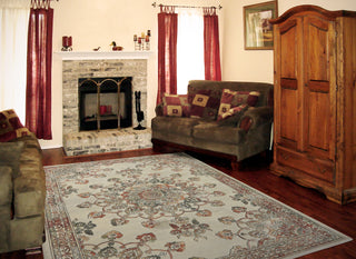 Dynamic Rugs Imperial 63420 Beige/Bronze Area Rug Room Scene Feature