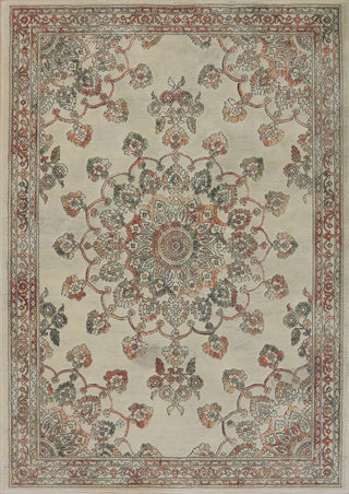 Dynamic Rugs Imperial 63420 Beige/Bronze Area Rug