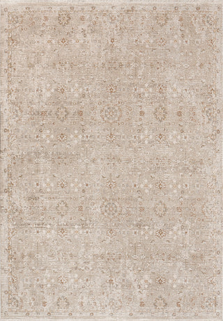 Dynamic Rugs Irving 15556 Beige/Cream/Rust Area Rug main image