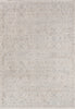 Dynamic Rugs Irving 15556 Light Grey/Beige Area Rug main image