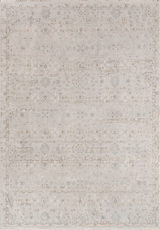Dynamic Rugs Irving 15556 Light Grey/Beige Area Rug main image