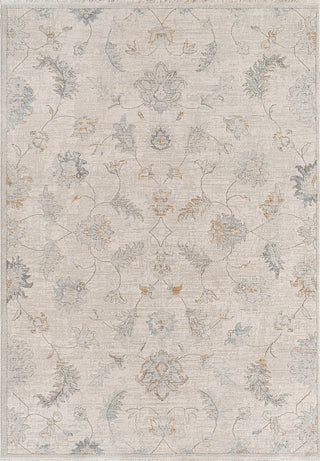 Dynamic Rugs Irving 15557 Cream/Multi Area Rug main image
