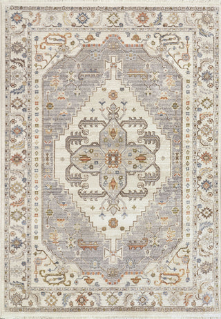 Dynamic Rugs Juno 6884 Cream/Grey/Multi Area Rug main image