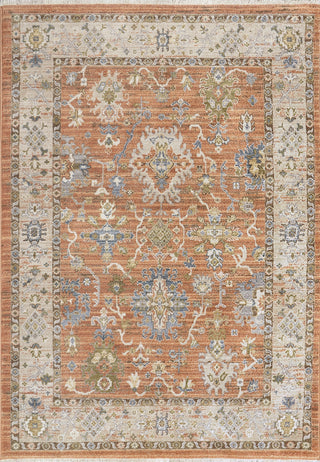 Dynamic Rugs Juno 6885 Rust/Ivory/Multi Area Rug main image