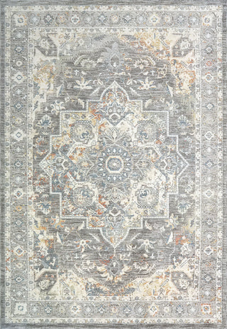 Dynamic Rugs Jupiter 3103 Grey/Multi Area Rug