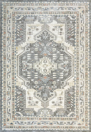 Dynamic Rugs Jupiter 3104 Grey/Multi Area Rug