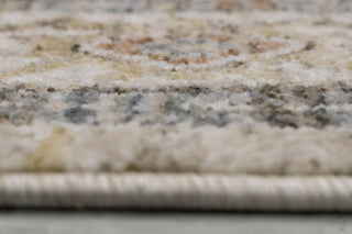 Dynamic Rugs Kashmir 18861 Cream/Beige/Multi Area Rug Detail