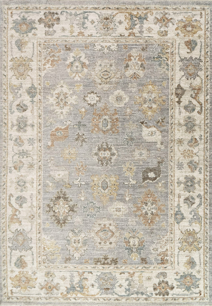 Dynamic Rugs Kashmir 18869 Grey/Cream/Multi Area Rug main image