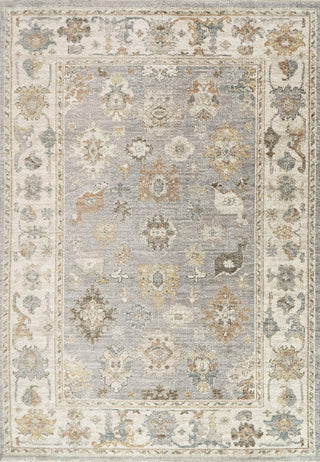 Dynamic Rugs Kashmir 18869 Grey/Cream/Multi Area Rug main image