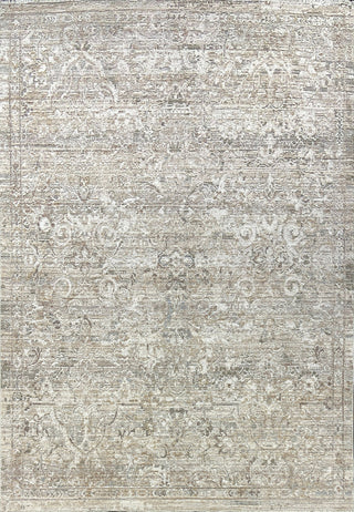 Dynamic Rugs Kyra 13704 Cream/Grey Area Rug main image