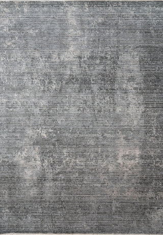 Dynamic Rugs Kyra 13707 Grey/Navy Area Rug main image