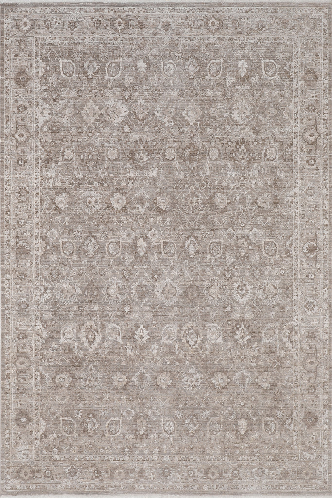 Dynamic Rugs Lara 14620 Brown/Grey Area Rug main image
