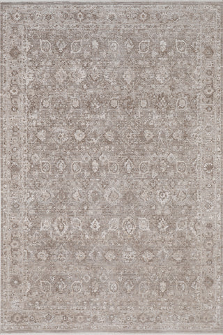 Dynamic Rugs Lara 14620 Brown/Grey Area Rug main image