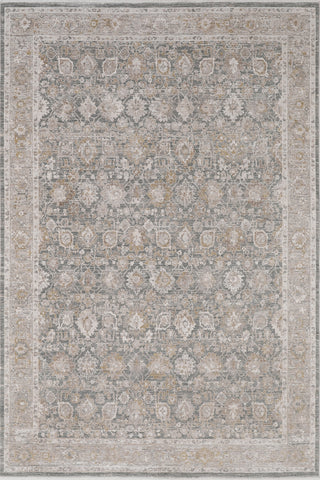 Dynamic Rugs Lara 14621 Beige/Grey/Cream Area Rug main image
