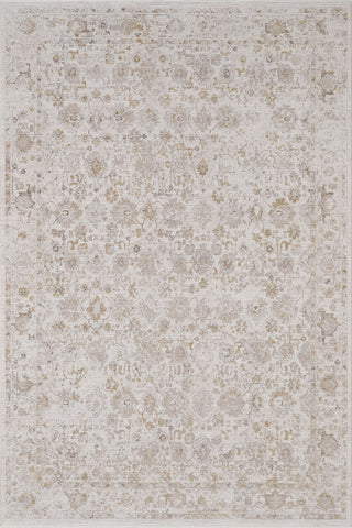 Dynamic Rugs Lara 14622 Beige/Cream Area Rug main image