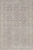 Dynamic Rugs Lara 14623 Beige/Grey/Cream Area Rug main image