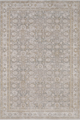 Dynamic Rugs Lara 14623 Beige/Grey/Cream Area Rug main image
