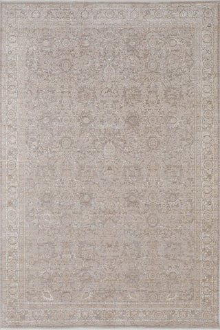 Dynamic Rugs Lara 14624 Beige/Cream/Grey Area Rug main image