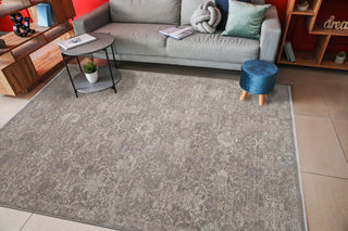 Dynamic Rugs Lara 14625 Beige/Taupe Area Rug Room Scene Feature