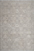 Dynamic Rugs Lara 14625 Beige/Taupe Area Rug main image