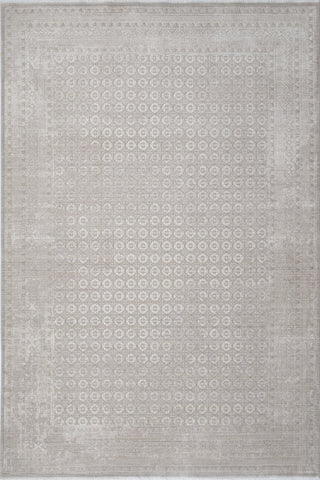 Dynamic Rugs Lara 14627 Taupe Area Rug main image