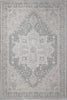 Dynamic Rugs Lara 14628 Ivory/Grey Area Rug main image
