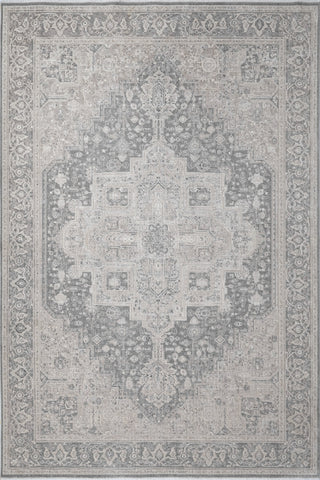 Dynamic Rugs Lara 14628 Ivory/Grey Area Rug main image