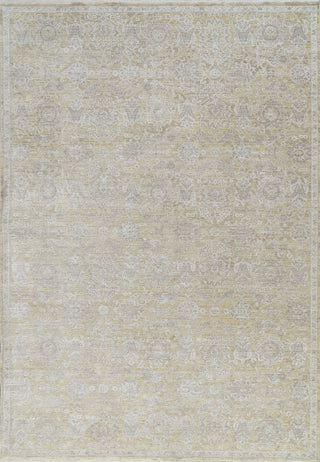 Dynamic Rugs Lara 14629 Beige/Grey Area Rug main image